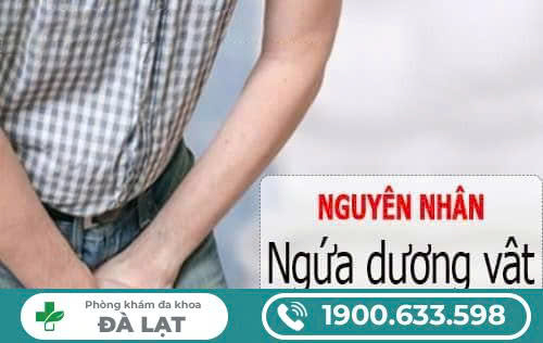 Hình ảnh minh họa